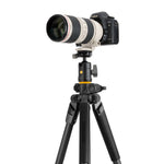 Alta Pro 2+ 263AB (Gen 2) Professional Aluminum Full-Size Camera & Video Tripod w/ Ball Head & 26mm Legs